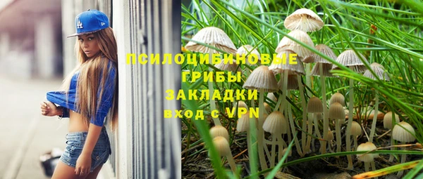 скорость Медвежьегорск