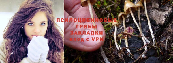 скорость Медвежьегорск