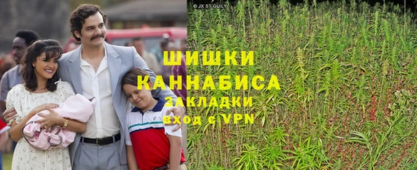 эйфоретик Мегион