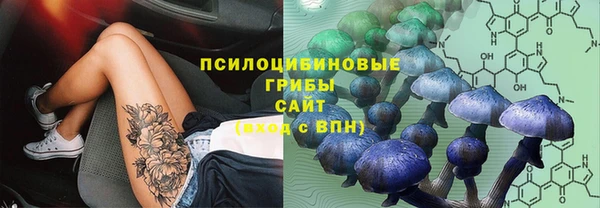 эйфоретик Мегион