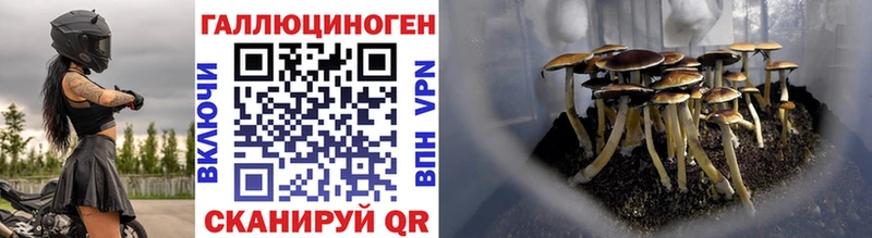 цена наркотик  OMG   Галлюциногенные грибы Magic Shrooms  Долинск 